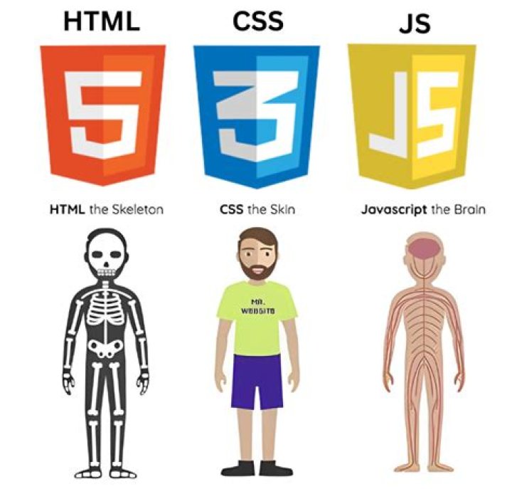 Does JavaScript work on mobile?