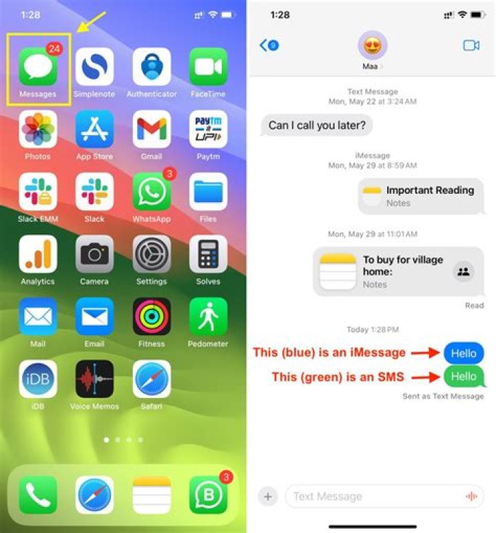 Does SMS backup work on iPhone?