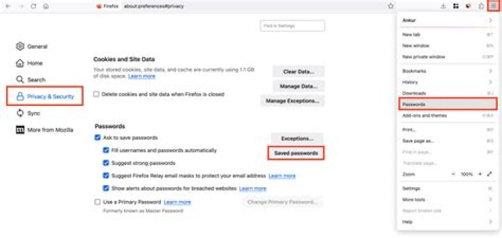 Where does Firefox save passwords?