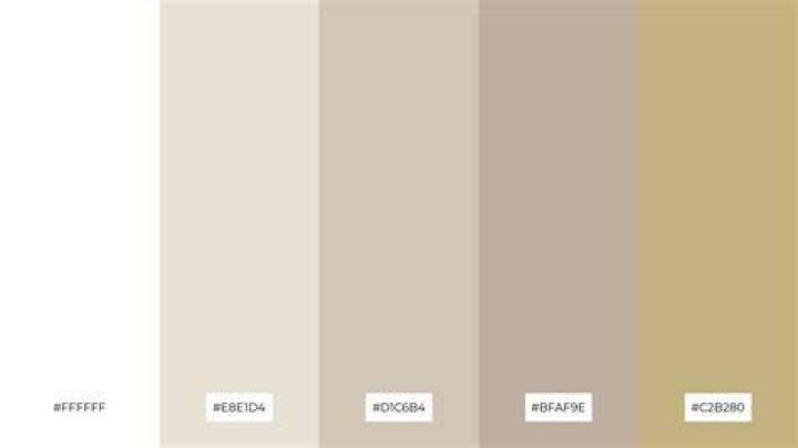 Which is beige Colour?