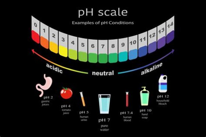 Why are phosphates acidic?